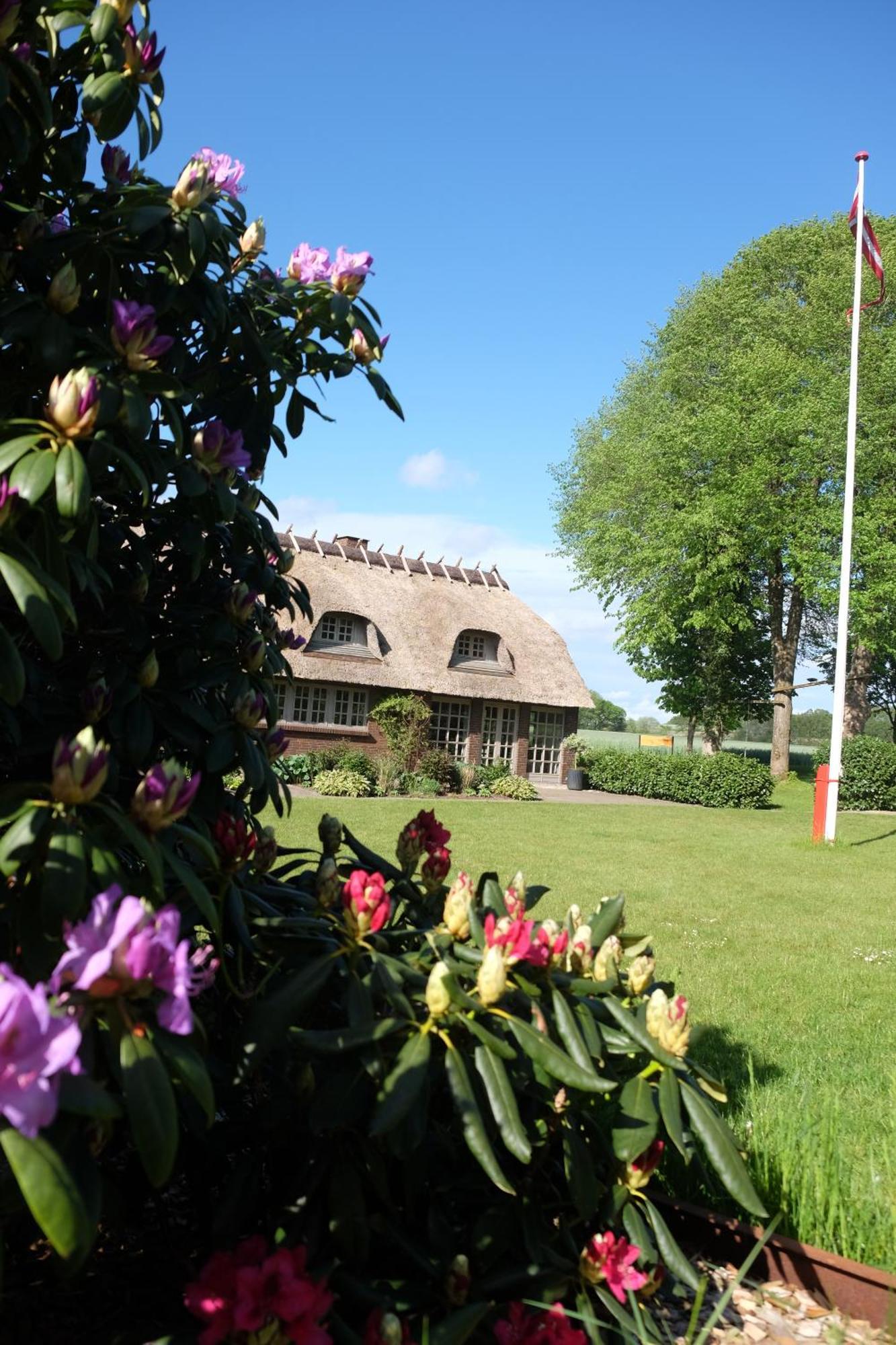Billund Rooms Eksteriør billede